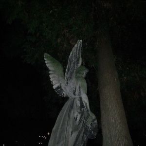 Meet your Posher, Ava